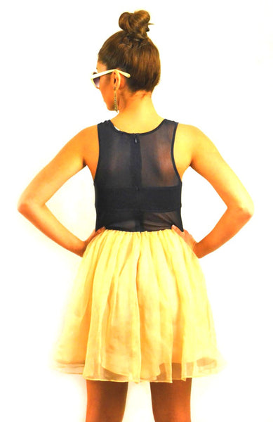 Ice Skater Dress
